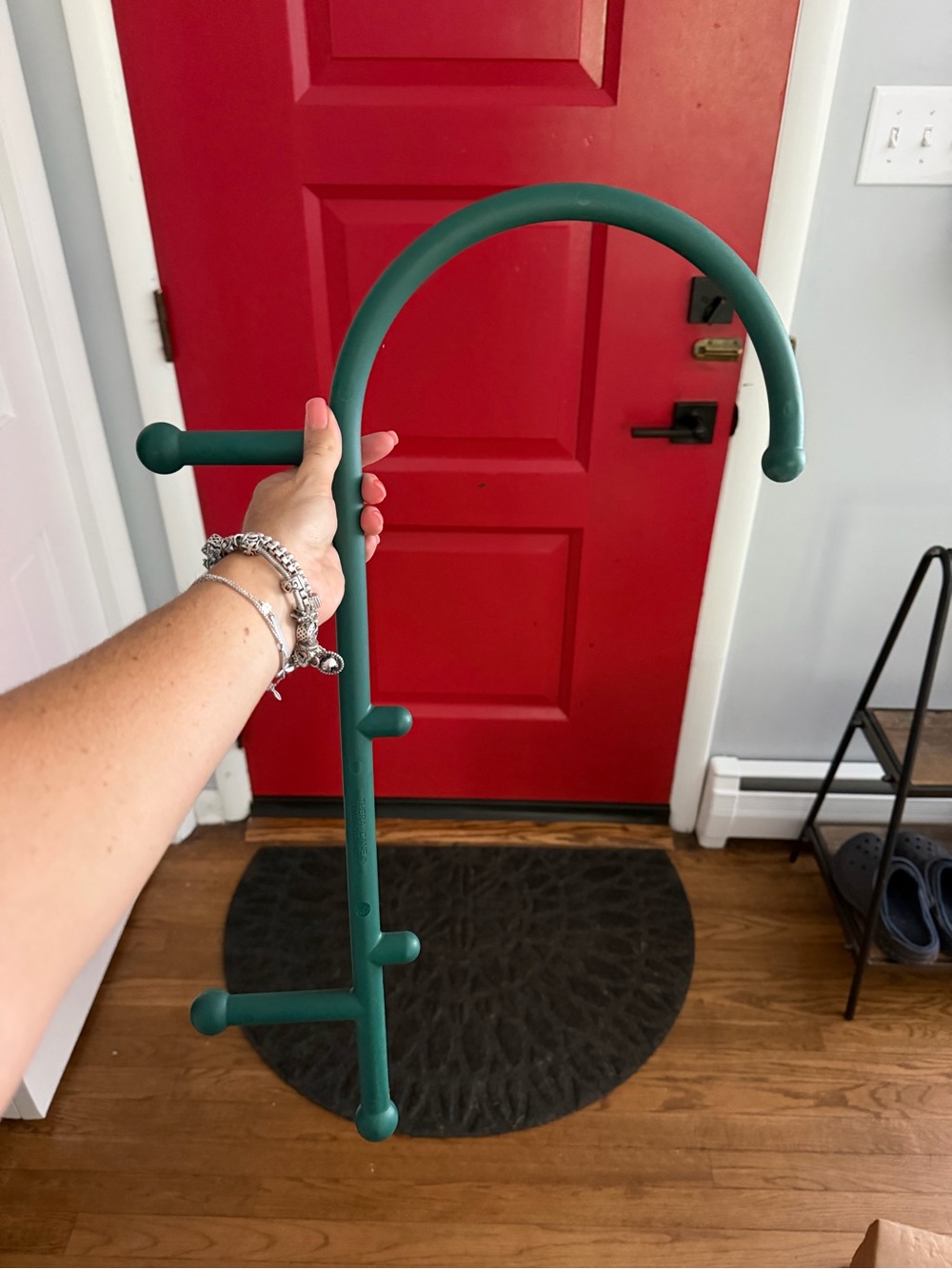 Thera Cane Massager